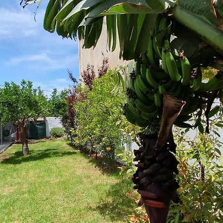 Aeropis Villa, Chania * 干尼亞