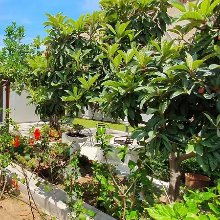 度假居 Aeropis Villa, Chania *